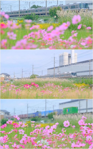 2f8dd8cde30e5be6e80811b9734cab4e.jpg