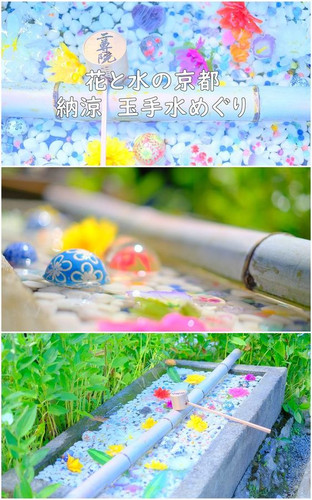 b260557d4474d25883e7e3eeaccbbbc3.jpg
