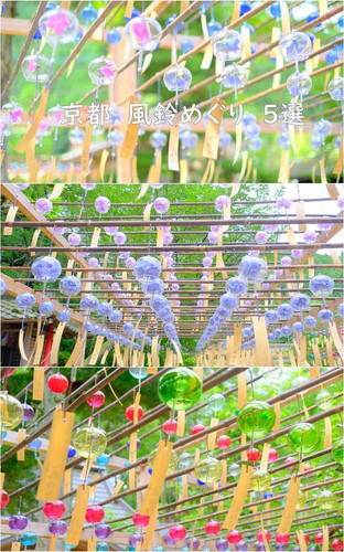 6b4f384857d56867890a4a8ce088d26d.jpg
