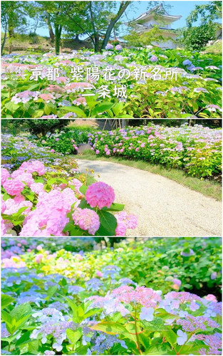 9c1a66c4ce368d54ebf606e3bfc3cdbb.jpg