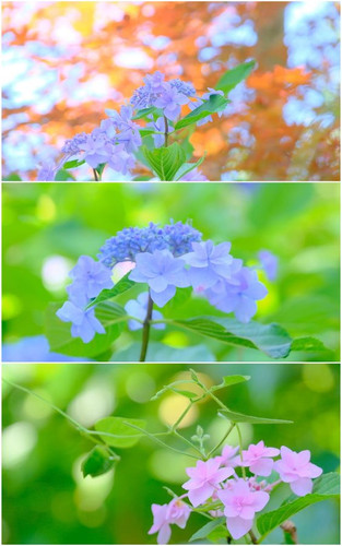 2cc5d4a69af391ab2313fb3706c90c0e.jpg