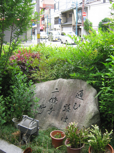 3935.jpg