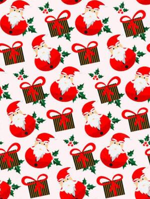 SANTA (1).jpg