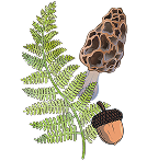 Pagebound PlantNF Icon