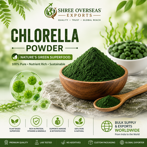 Chlorella Powder Private Label Supplier Premium Manufacturing Solutions for Global B2B Buyers.png