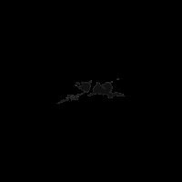 6a11ed401478.jpg