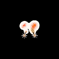 4aaf90e5f9f8.gif