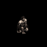 418fb26d8de6.gif