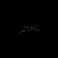 b8c37164a2c2.gif