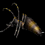 915ea4e5cb36.gif