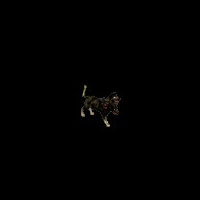 53bb6800c196.gif