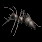 415040240f3d.gif