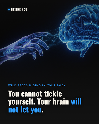 card 59.png