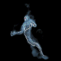 e054613a3787.gif