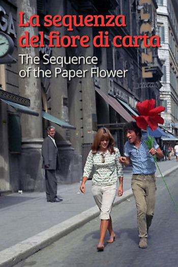 the sequence of the paper flower.jpg