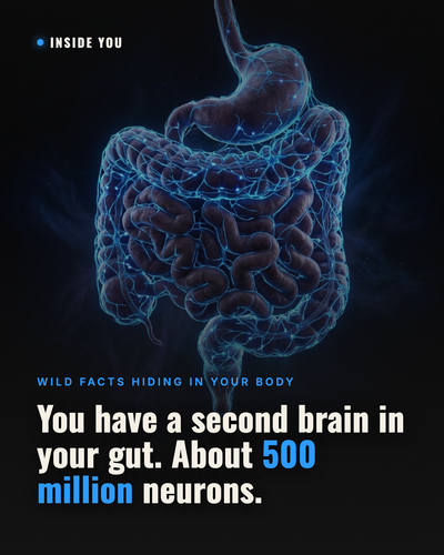 card 61.png