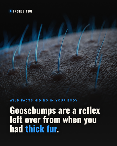 card 60.png