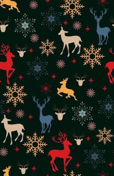 CHRISTMAS RAINDEER.jpg