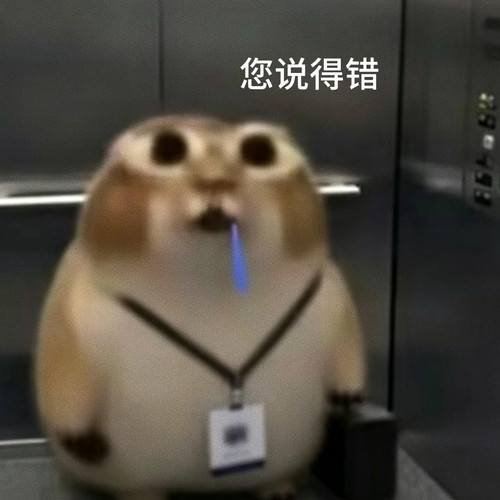{\"capa_image_quality_process_sink_v2\":\"1\",\"capa_image_quality_ios_image_direct_post_file_size\".jpg