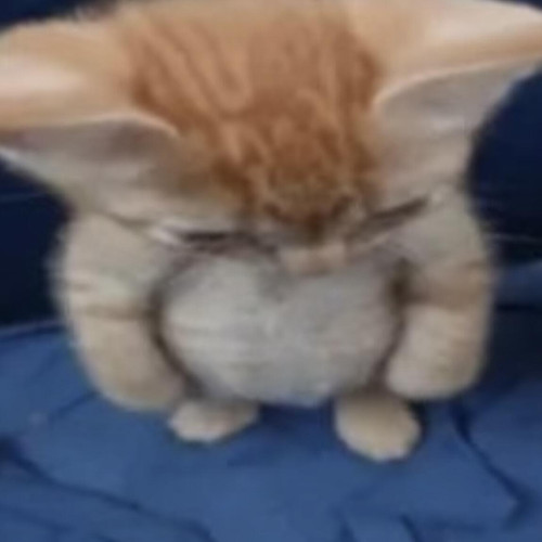 Screenshot.jpg