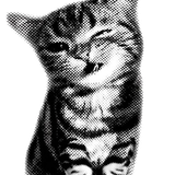 fd1f6a575c5b11537c20151d677a466e removebg preview.png