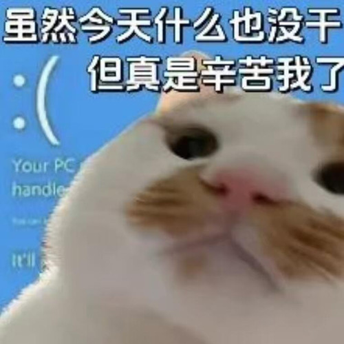 {\"capa_image_quality_ios_main_flow_image_export_4k\":\"1\",\"capa_image_quality_process_sink_v2\":\.jpg