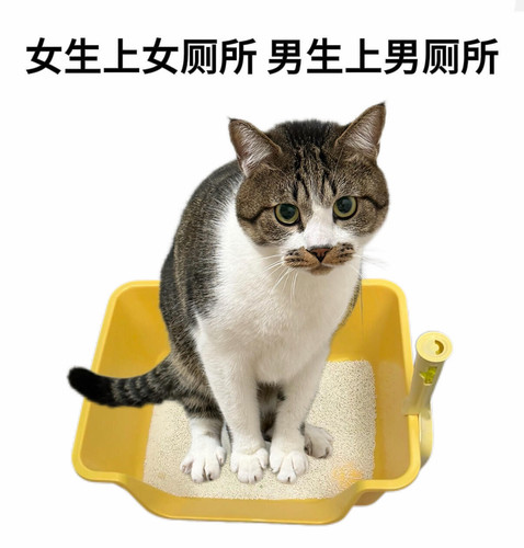 mmexport1785070731346.jpg
