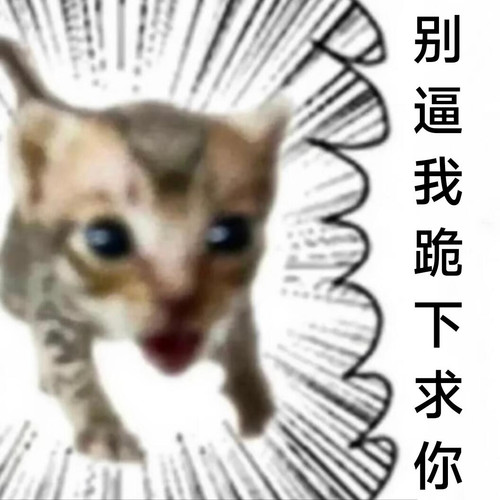mmexport1785070607107.jpg