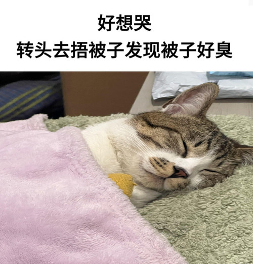 mmexport1785070730340.jpg