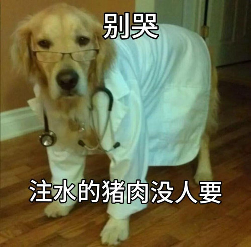 {\"capa_image_quality_ios_main_flow_image_export_4k\":\"1\",\"capa_image_quality_process_sink_v2\":\.jpg