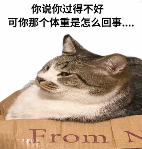mmexport1785070730615.jpg