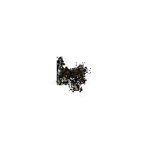 46e9e7d25c77.gif
