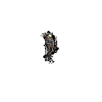 35e9a10784bc.gif