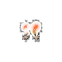 08495603cfe4.gif