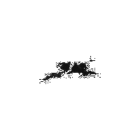 b17bc345deb4.gif