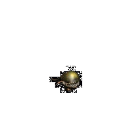 fda5b54a9786.gif