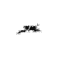 fdb8f3adb85c.gif