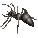 6cfcec5ae2ce.gif