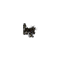 9cd2f8d64421.gif