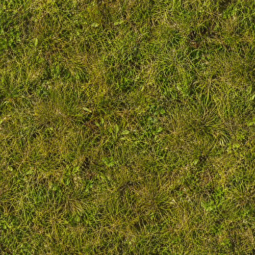 ChatGPT Image 24 jul 2026, 07_53_49.png