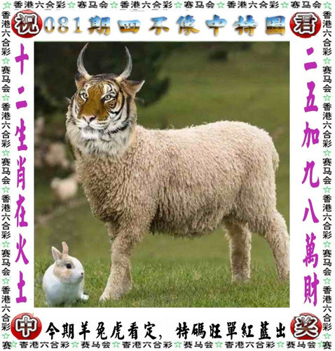 02039c25df9e.jpg