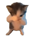 SCUBA 4x.gif