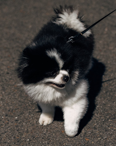 HOEBU2rW4AA4HmK.jpg
