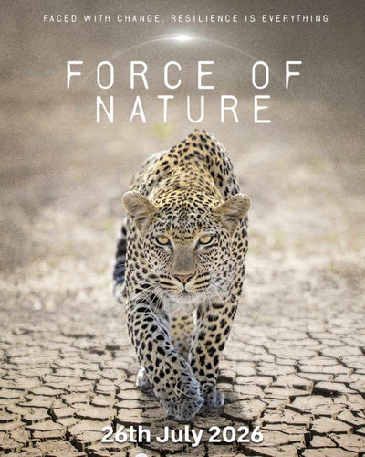 Force of Nature (2026) [SEZON 1] 1080p.AMZN.WEB-DL.H264-RAWR