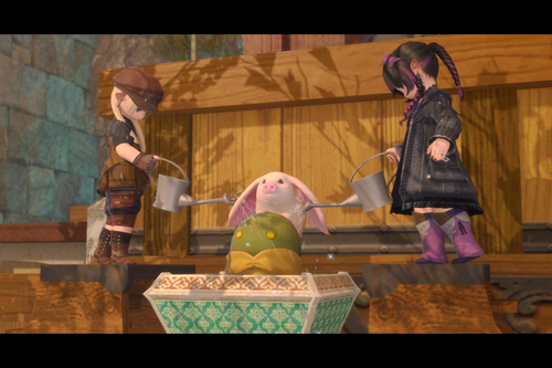ffxiv 20260726 051047 0972.png