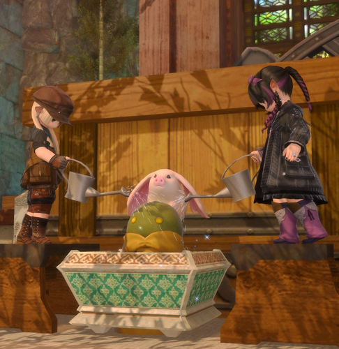 ffxiv 20260726 051138 7852.png