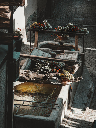 DSCN1569.jpg