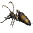 f593aeca1e54.webp
