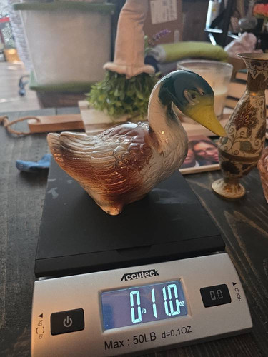 f22bf2c5508b.jpg