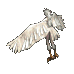 3872c892fcc6.webp